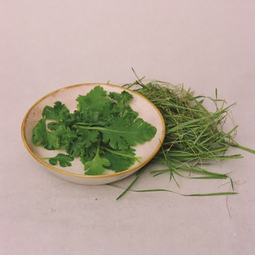 A bowl of fresh greens beside a handful of meadow hay